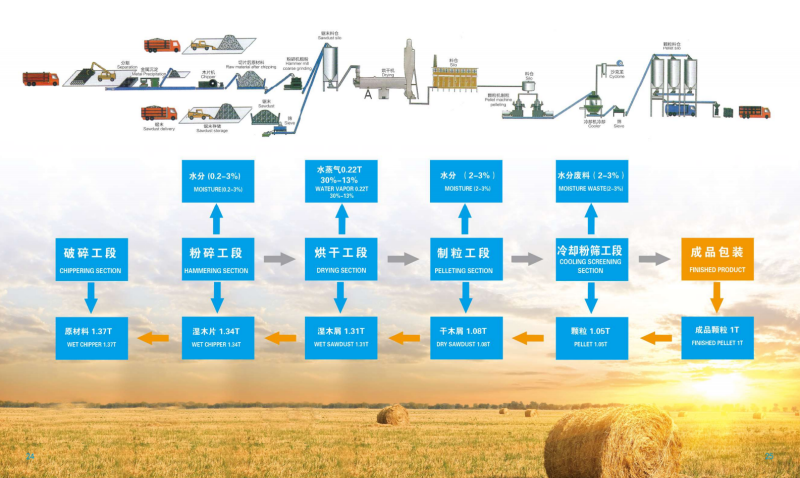 sina体育宣传册_13 - 副本.png